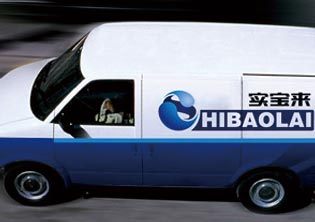 實寶來游樂設備公司VI設計系統(tǒng)