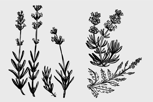 歐洲化工企業VI設計的匠心調性-4