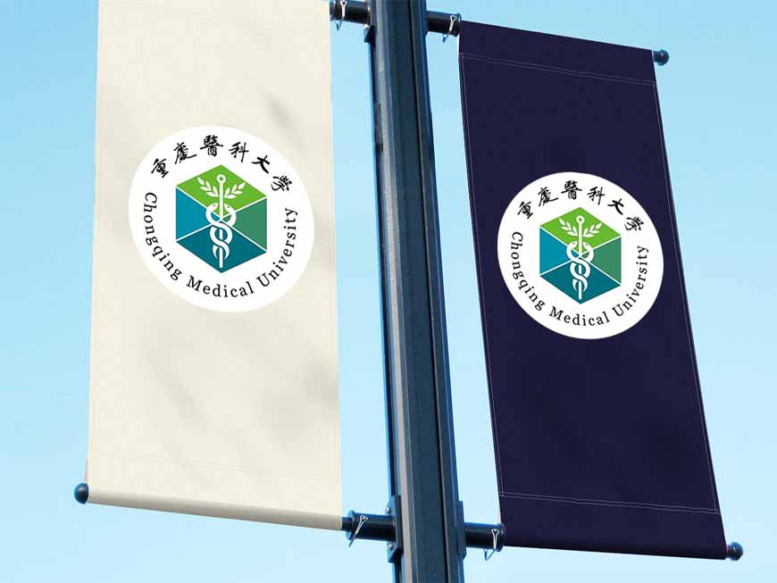 重慶醫科大學?；盏娜〉牢魇斤L格之路-2