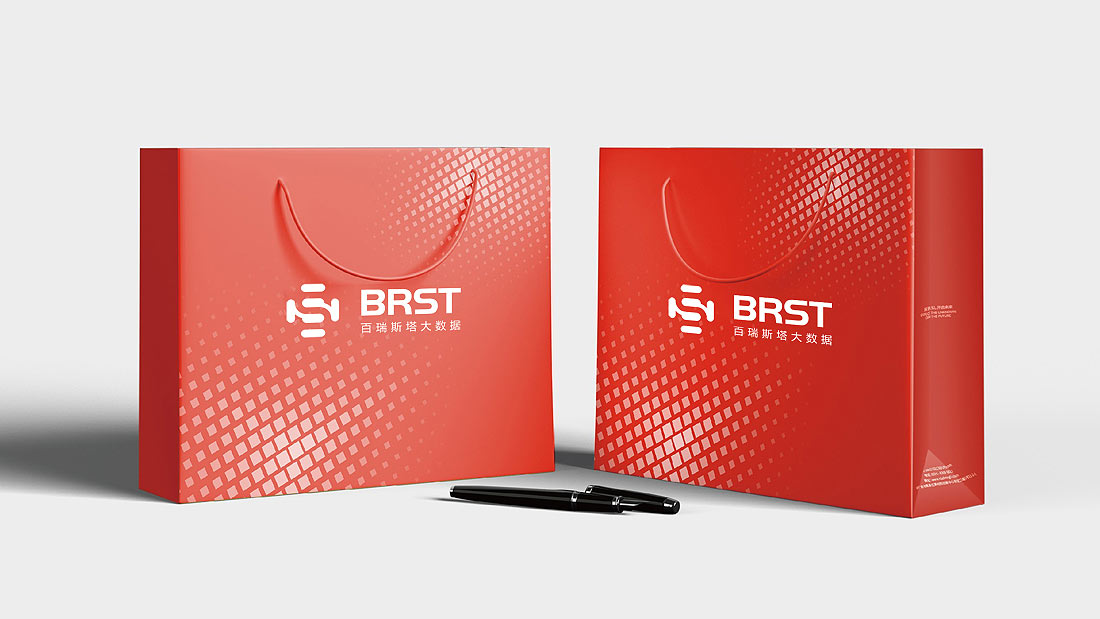 上海百瑞斯塔大數(shù)據(jù)公司LOGO設計-2