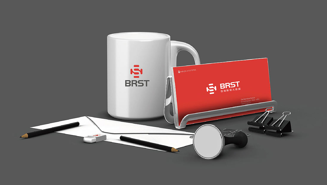 上海百瑞斯塔大數(shù)據(jù)公司LOGO設計-4